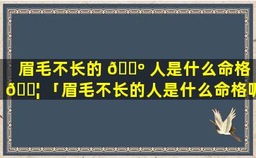 眉毛不长的 🐺 人是什么命格 🐦 「眉毛不长的人是什么命格呢」